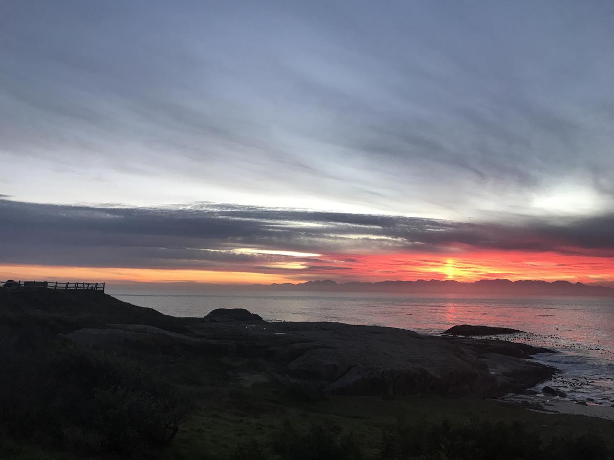 Oceans Drift (Adults Only) Hotel Cape Town Bagian luar foto